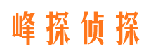 定西私人侦探